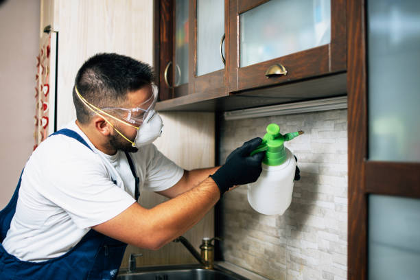 Best Pest Prevention Services  in Su Oswego, NY