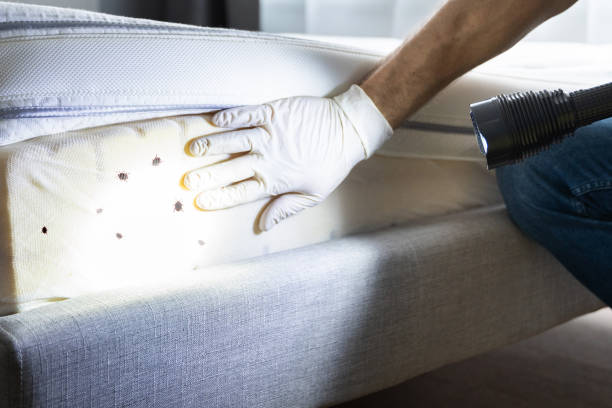 Best Best Pest Control Companies  in Su Oswego, NY