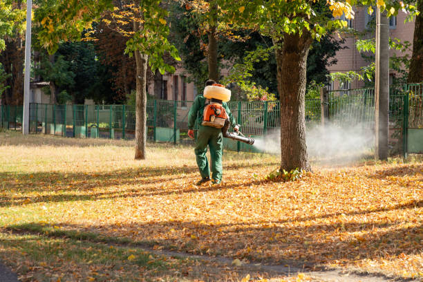 Best Pest Control Near Me in Suny Oswego, NY