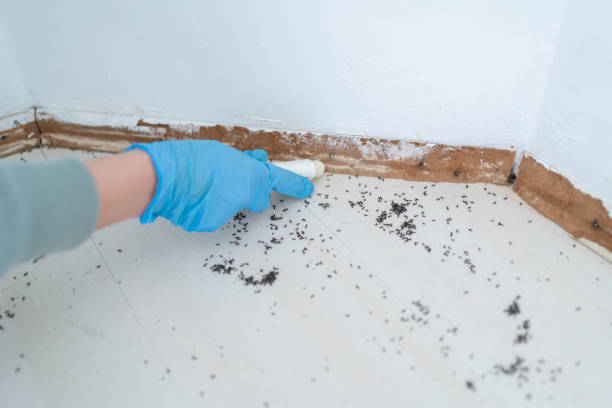 Best Pest Removal Services  in Su Oswego, NY